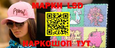 стаф Новокубанск