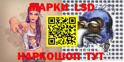 стаф Новокубанск