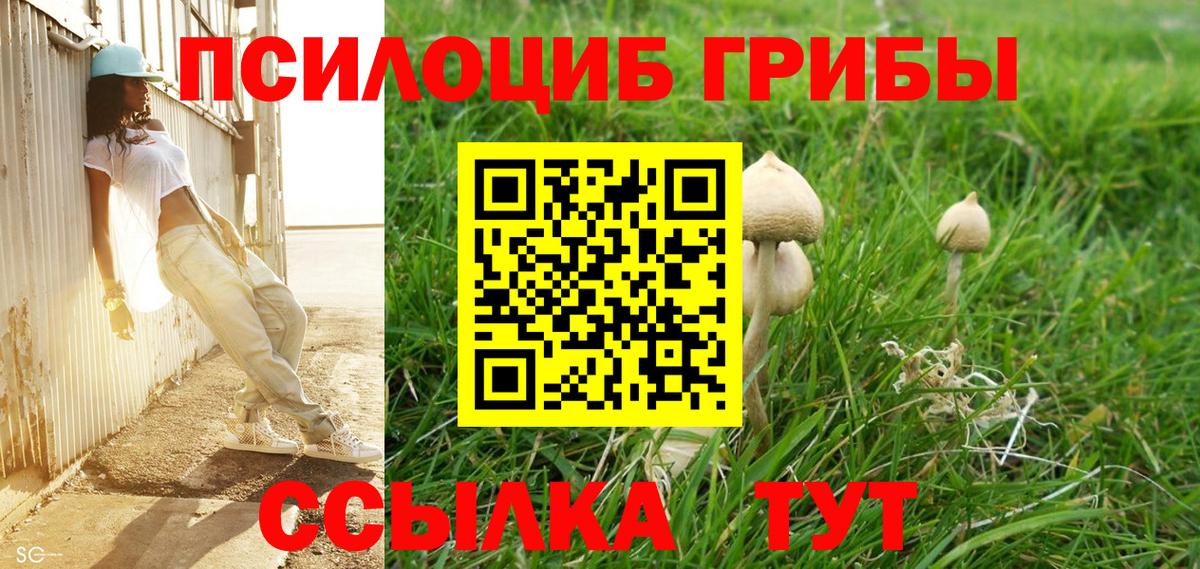 Галлюциногенные грибы мицелий  Псилоцибиновые грибы мицелий  Вход с VPN  магазин    Санкт-Петербург 